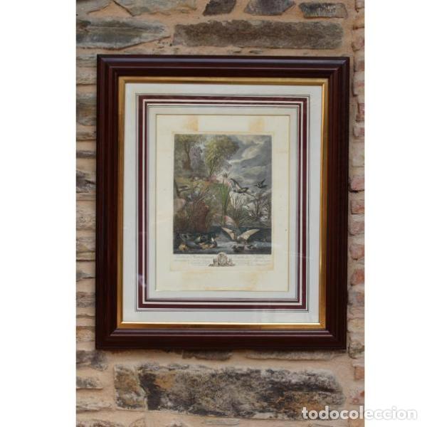 Art: Antigua l&aacute;mina francesa