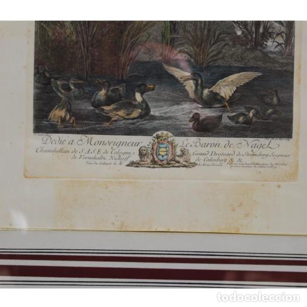 Arte: Antigua l&aacute;mina francesa - Foto 2
