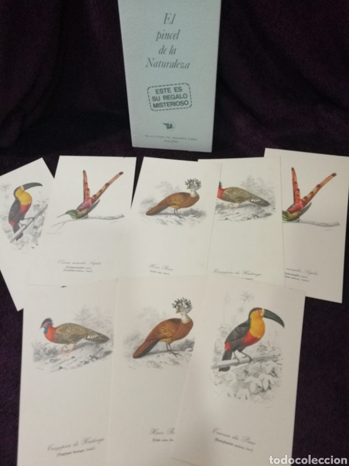 Art: Reader's Digest - El pincel de la naturaleza