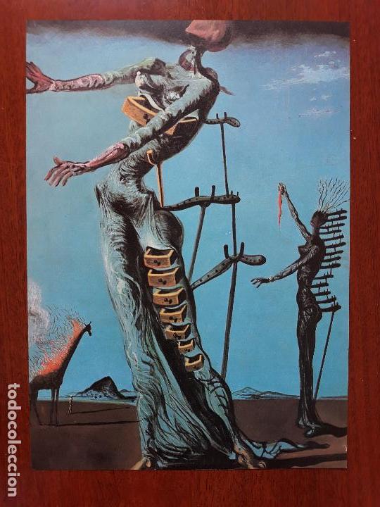 Art: Lamina Salvador dali- 2 dibujos dos caras reversible- a&ntilde;os 80