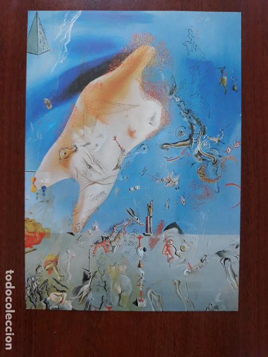 Art: Lamina Salvador Dal&iacute;- 2 dibujos a dos caras reversible- a&ntilde;os 80