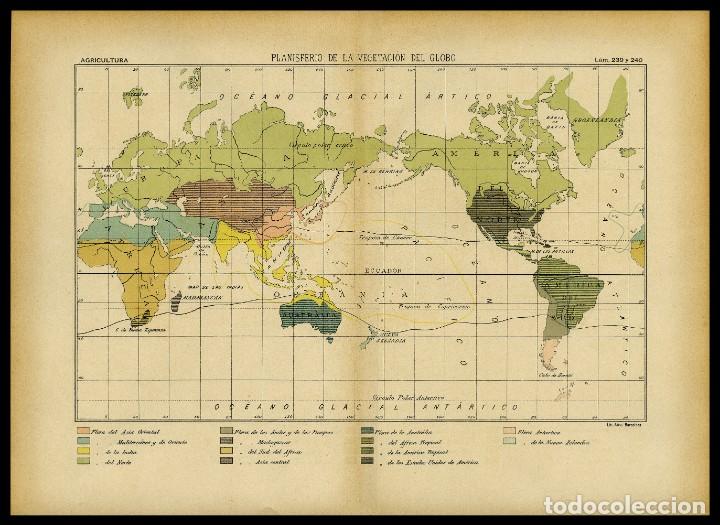 Arte: ANTIGUO MAPA DEL PLANISFERIO DE LA VEGETACI&Oacute;N EN EL GLOBO - Foto 1