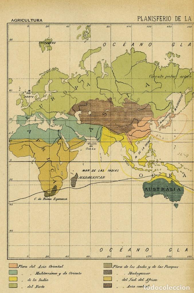 Arte: ANTIGUO MAPA DEL PLANISFERIO DE LA VEGETACI&Oacute;N EN EL GLOBO - Foto 4
