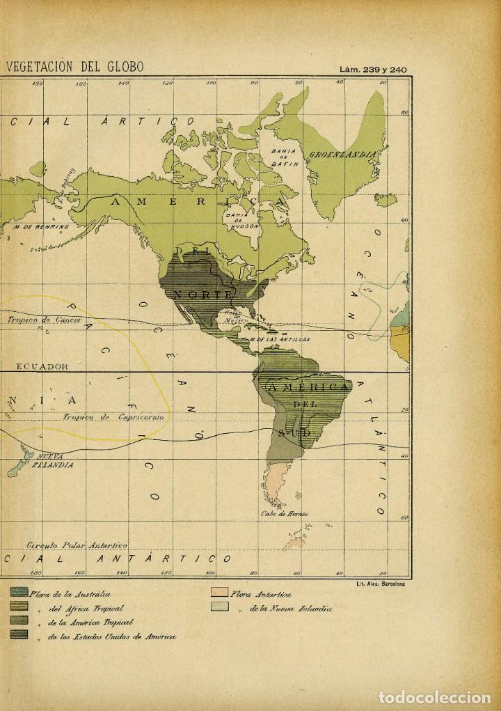 Arte: ANTIGUO MAPA DEL PLANISFERIO DE LA VEGETACI&Oacute;N EN EL GLOBO - Foto 5