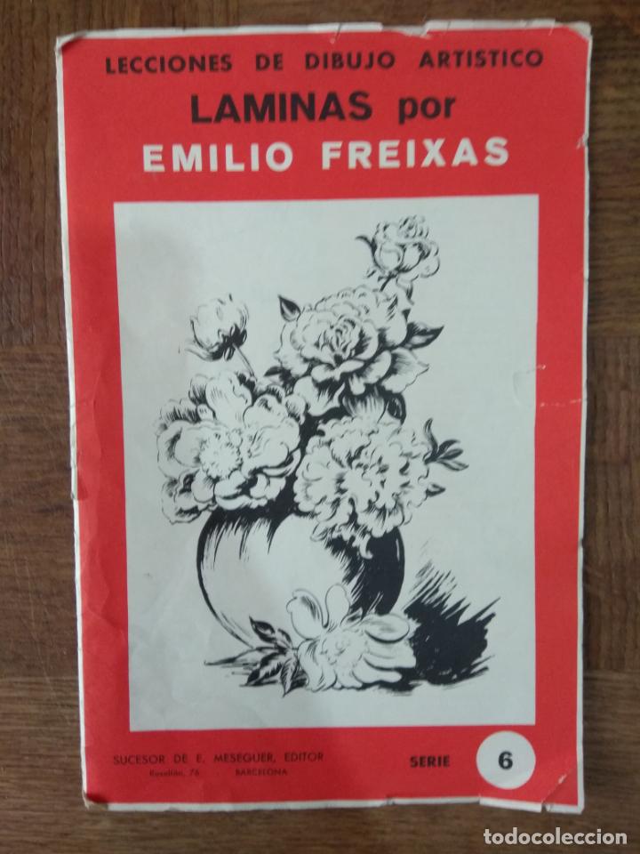 Arte: LAMINAS POR EMILIO FREIXAS N&ordm; 6 EDITOR MESEGUER- DIBUJOS FLORES PLANTAS- LECCIONES DE DIBUJO ARTISTO