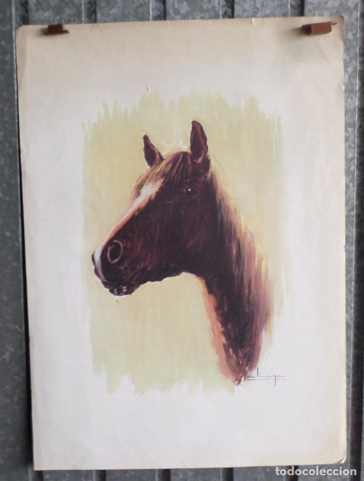 Arte: Lamina cabeza de caballo - Foto 1