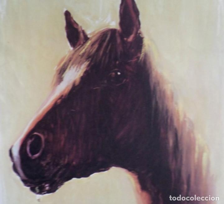 Arte: Lamina cabeza de caballo - Foto 2