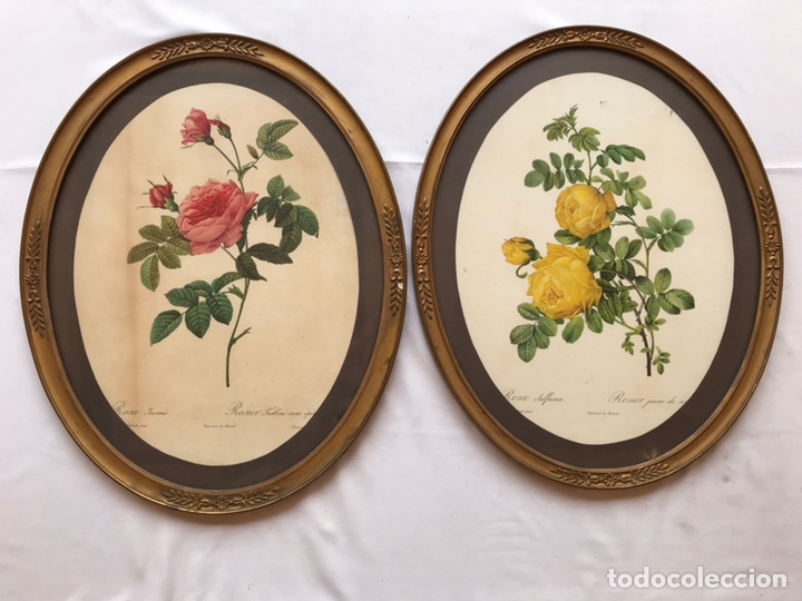 Arte: Cuadros flores - Foto 1