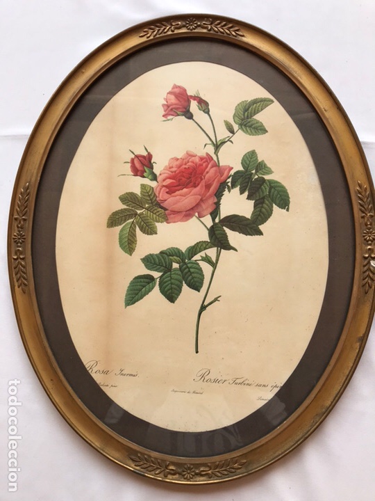 Arte: Cuadros flores - Foto 2