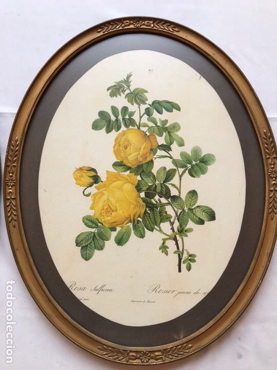 Arte: Cuadros flores - Foto 3
