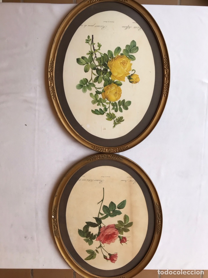 Arte: Cuadros flores - Foto 7