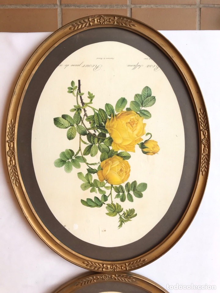 Arte: Cuadros flores - Foto 10