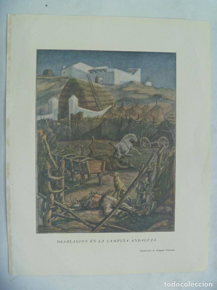 Arte: LAMINA &uml; DESOLACION EN LA CAMPI&Ntilde;A ANDALUZA &uml; , DE JOAQUIN VALVERDE . A&Ntilde;OS 40