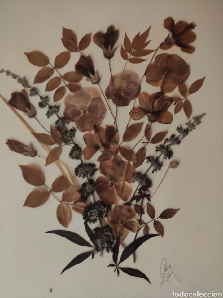 Arte: L&aacute;mina con flores secas - Foto 2