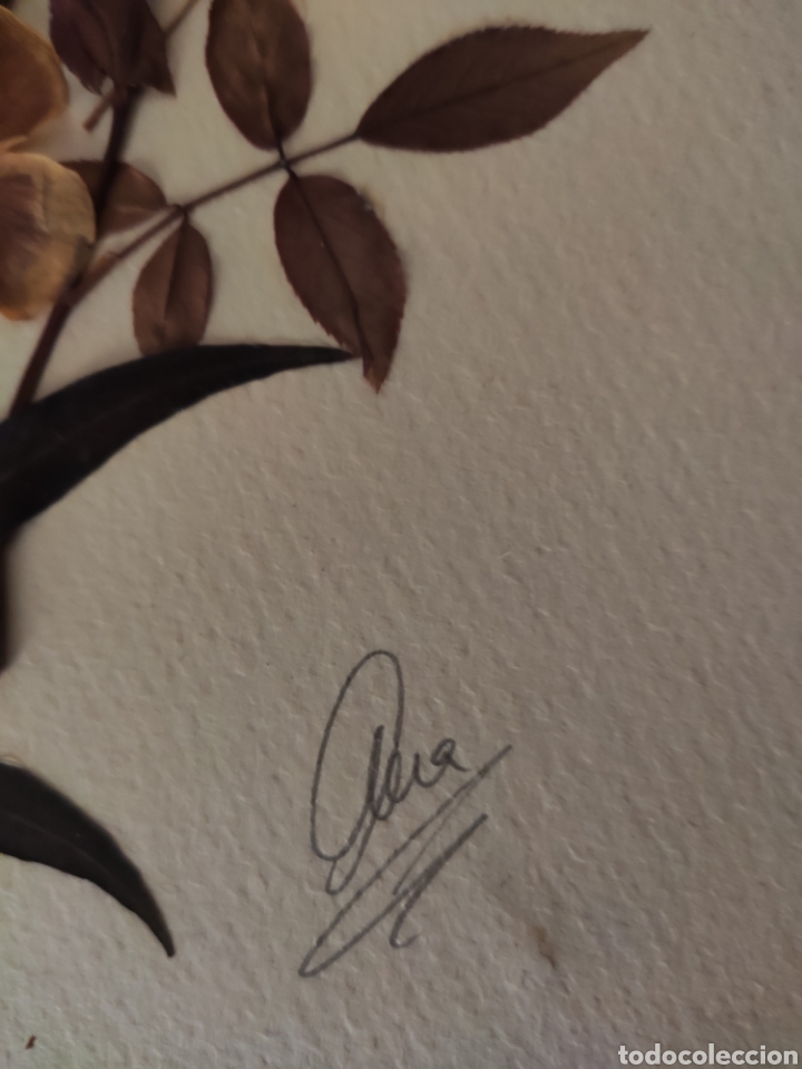 Arte: L&aacute;mina con flores secas - Foto 3