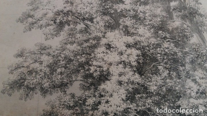 Arte: LAMINA ANTIGUA . - Foto 2