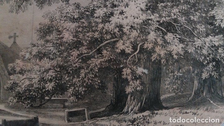 Arte: LAMINA ANTIGUA . - Foto 3