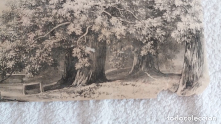 Arte: LAMINA ANTIGUA . - Foto 4
