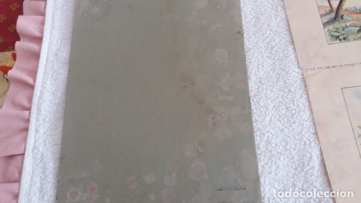 Arte: LAMINAS DE PINTURA - Foto 8