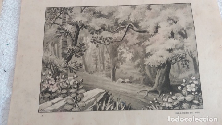 Arte: LAMINAS DE PINTURA - Foto 1