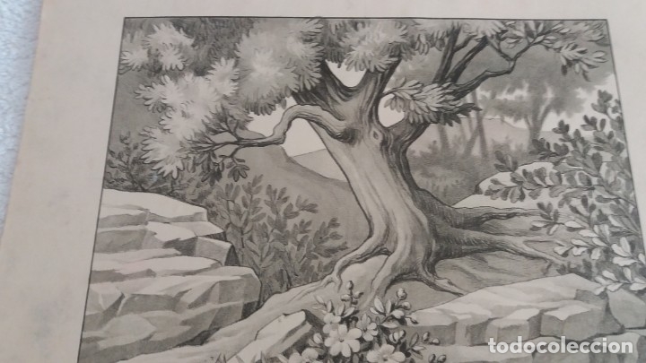 Arte: LAMINAS DE PINTURA - Foto 7
