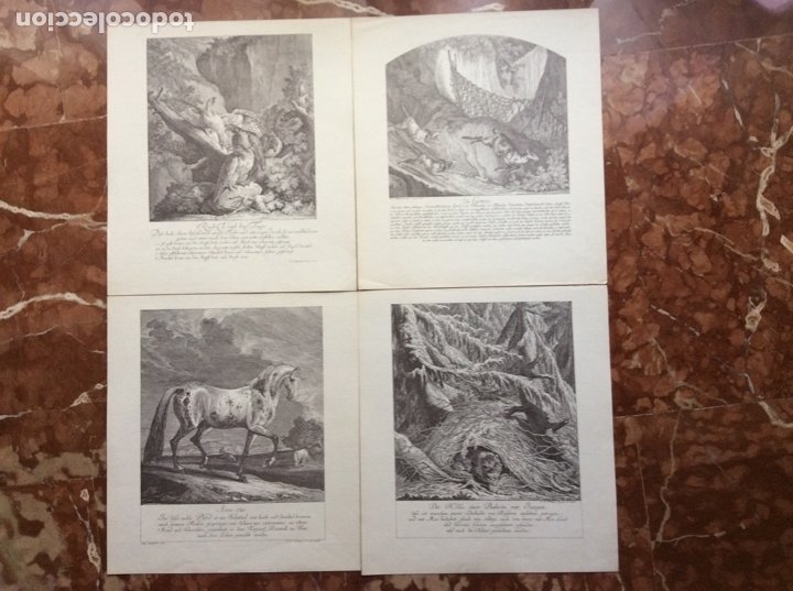 Arte: Láminas antiguas de animales 28cmx31cm cada una. - Foto 5 - 178579020