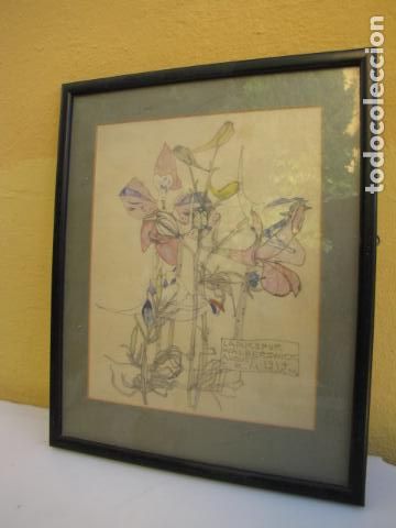 Kunst: Lamina enmarcada con certificado de Makintosh. Larkspur Walberswick 1914