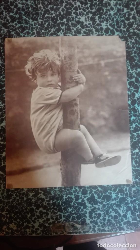 Arte: Ni&ntilde;o subido a un &aacute;rbol l&aacute;mina de revista d&eacute;cada de los 50 m&aacute;s o menos