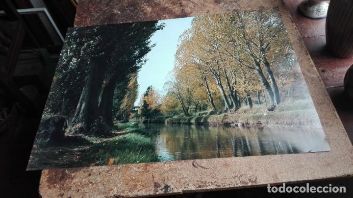 Arte: R&iacute;o con Alameda l&aacute;mina - Foto 1