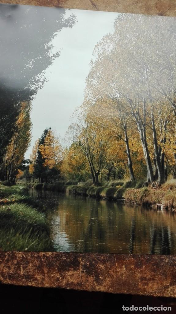 Arte: R&iacute;o con Alameda l&aacute;mina - Foto 3