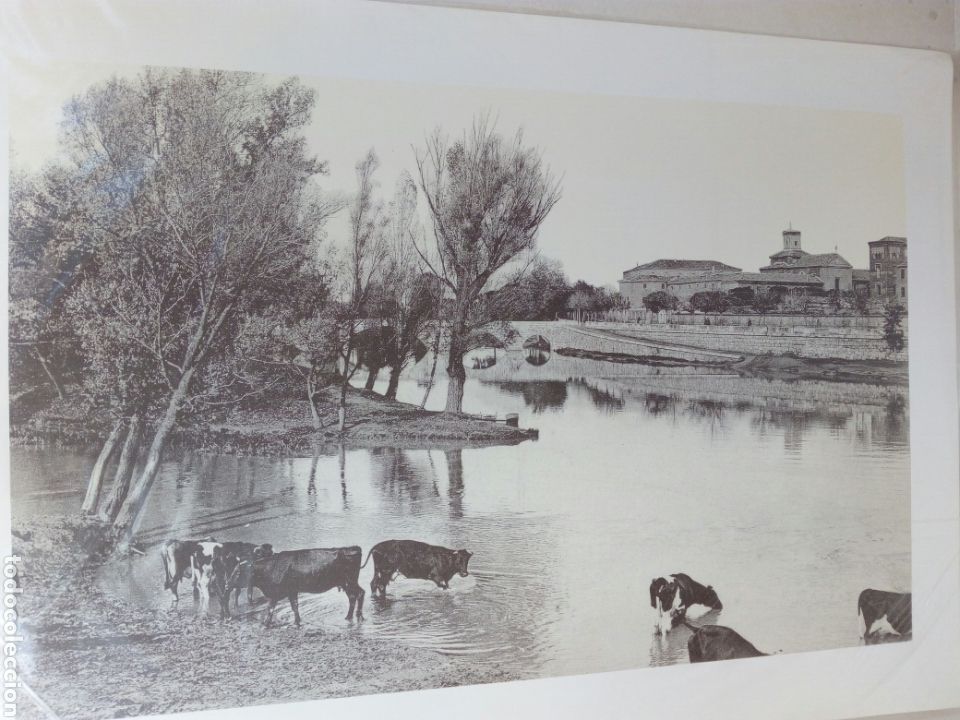 Art: L&aacute;mina orilla del Carri&oacute;n Palencia