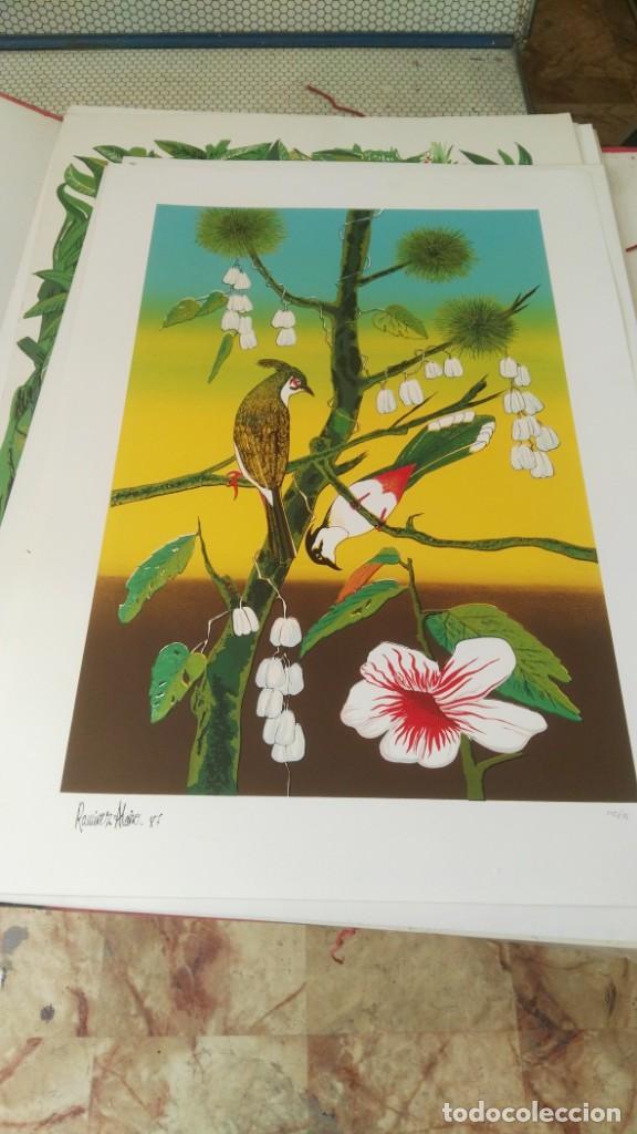 Arte: L&aacute;minas variadas - Foto 2