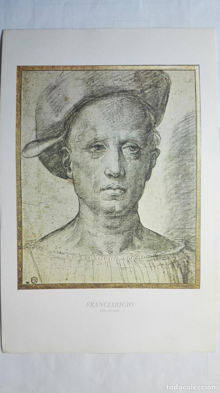 Art: LAMINA N&ordm; 7 - FRANCIABIGIO, CABEZA DE VARON, MEDIDAS 34,5 X 23 CM