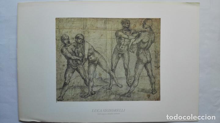 Art: LAMINA N&ordm; 8 - LUCA SIGNORELLI, CUATRO FIGURAS DESNUDAS LUCHANDO, MEDIDAS 34,5 X 23 CM