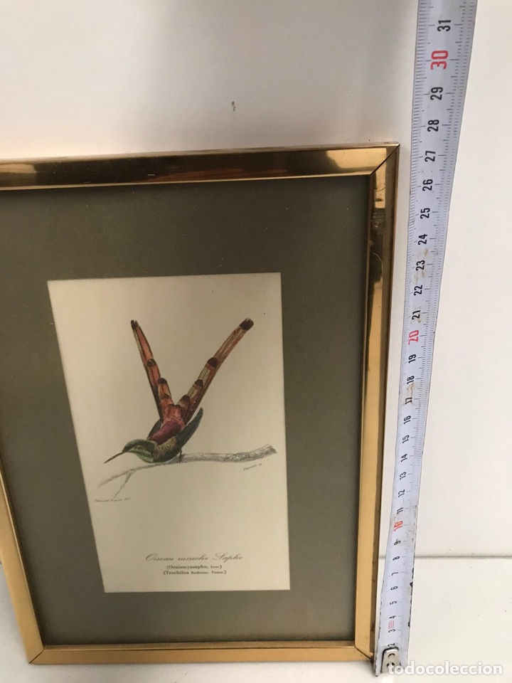 Arte: Cuadro lamina - Foto 3