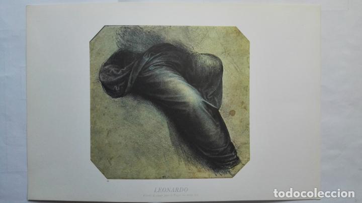 Art: LAMINA N&ordm; 13, LEONARDO, ESTUDIO DE ROPAJE PARA LA VIRGEN CON SANTA ANA, MEDIDAS 34,5 X 23 CM