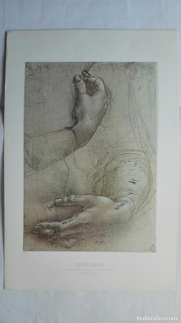 Kunst: LAMINA N&ordm; 15, LEONARDO, ESTUDIO DE MANOS FEMENINAS Y BOCETO DE CABEZA MASCULIN, MEDIDAS 34,5 X 23 CM