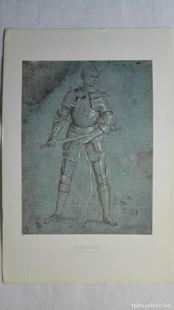 Art: LAMINA N&ordm; 16, PERUGINO, ESTUDIO DE GUERRERO, MEDIDAS 34,5 X 23 CM