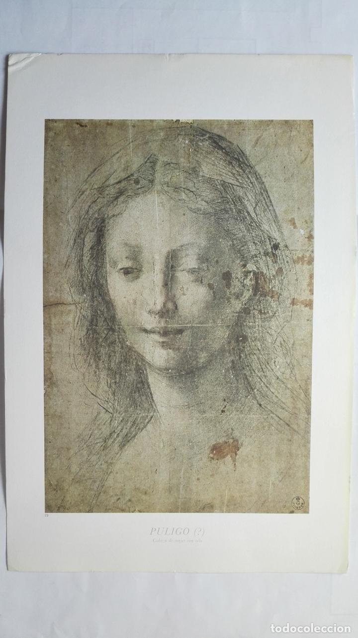 Art: LAMINA N&ordm; 23, PULIGO, CABEZA DE MUJER CON VELO, MEDIDAS 34,5 X 23 CM