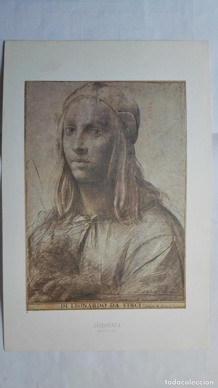 Art: LAMINA N&ordm; 25, SODOMA, RETRATO DE JOVEN, MEDIDAS 34,5 X 23 CM
