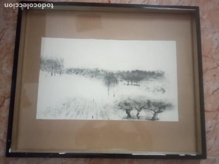 Arte: LAMINA ENMARCADA CON CRISTAL - Foto 2