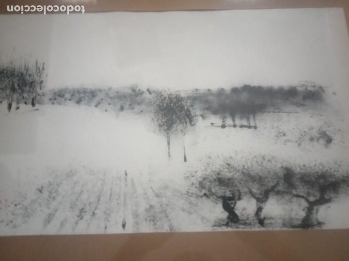 Arte: LAMINA ENMARCADA CON CRISTAL - Foto 3