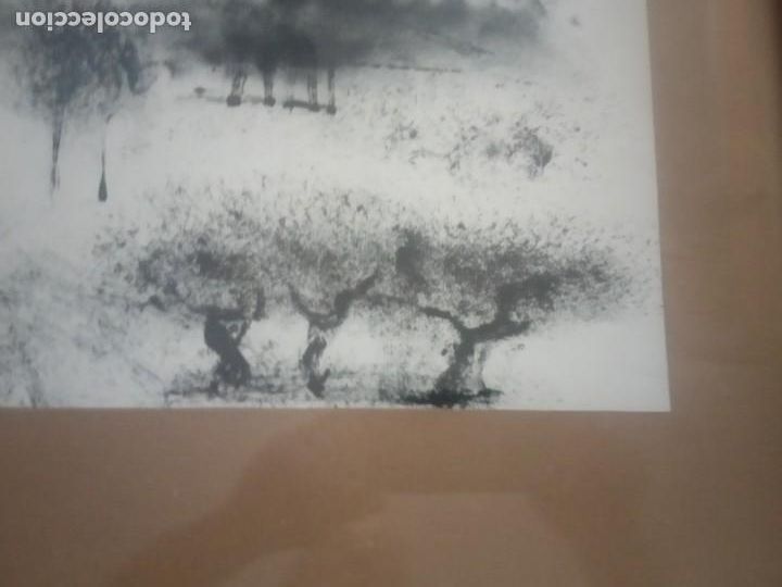 Arte: LAMINA ENMARCADA CON CRISTAL - Foto 1