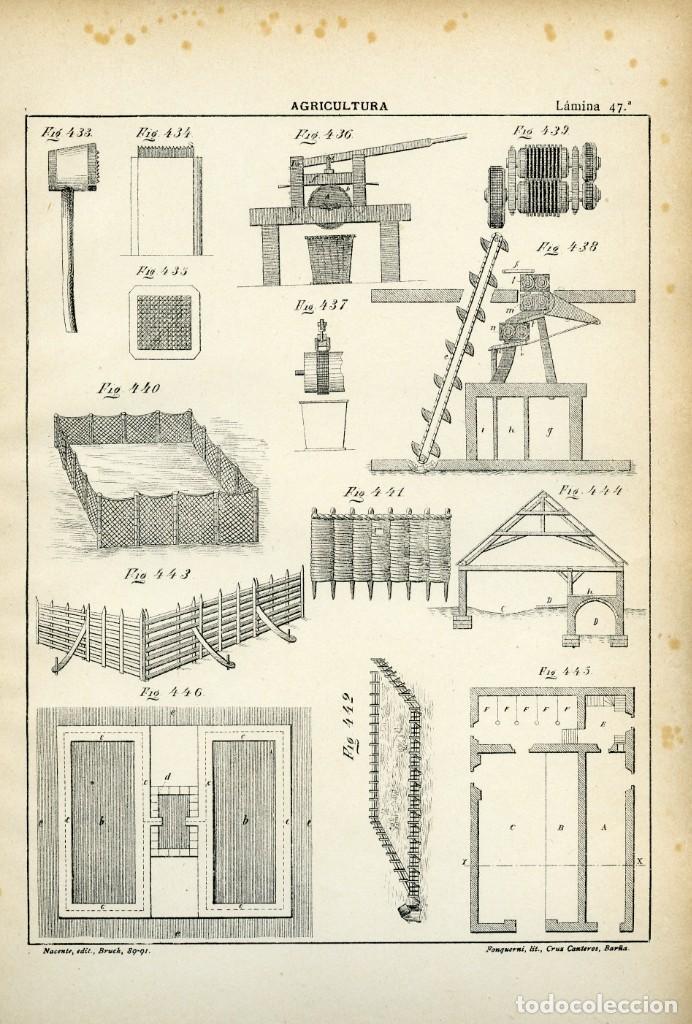 Agricultura Lámina 47 Litografía Original Sig Comprar Láminas
