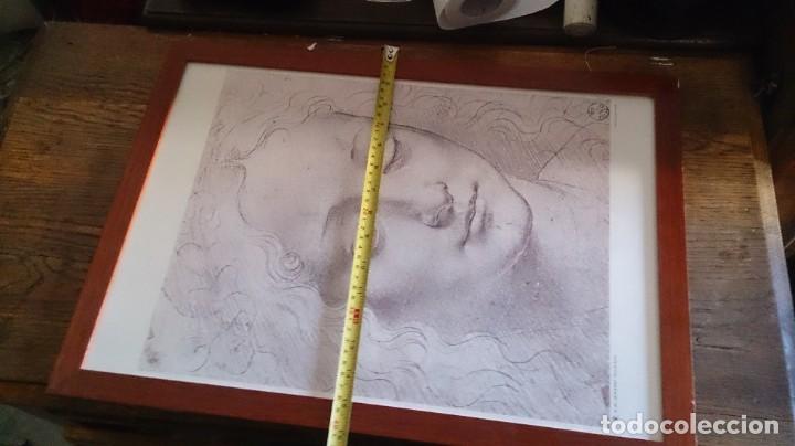 Arte: LAMINA ENMARCADA DE LENARDO DA VINCI - Foto 2
