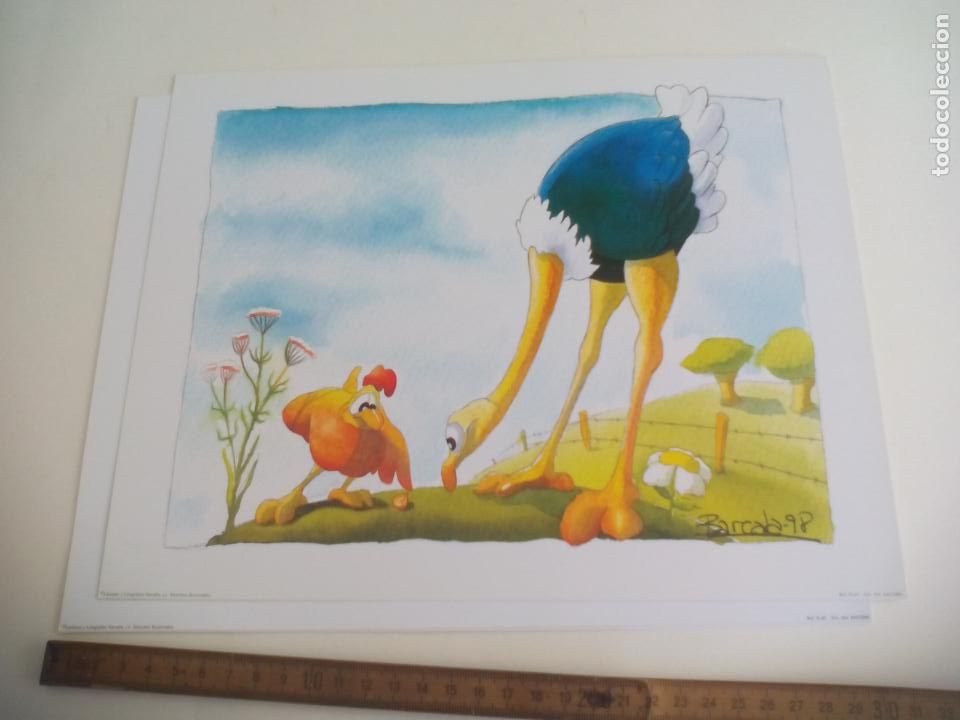 Art: BARCALA 98. LAMINA INFANTIL AVESTRUZ Y POLLO. LAMINAS Y LITOGRAF&Iacute;AS NAVARRA. 2000 . 24 X 30 CM