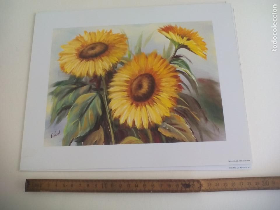 Art: LAMINA. GIRASOLES. FLORES. DISLAMA S.L. REF 0307018. 24 X 30 CM