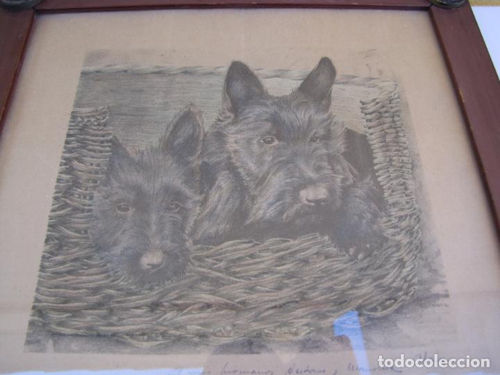 Arte: 4.- L&aacute;mina enmarcada Snauzer. Dedicatoria - Foto 2