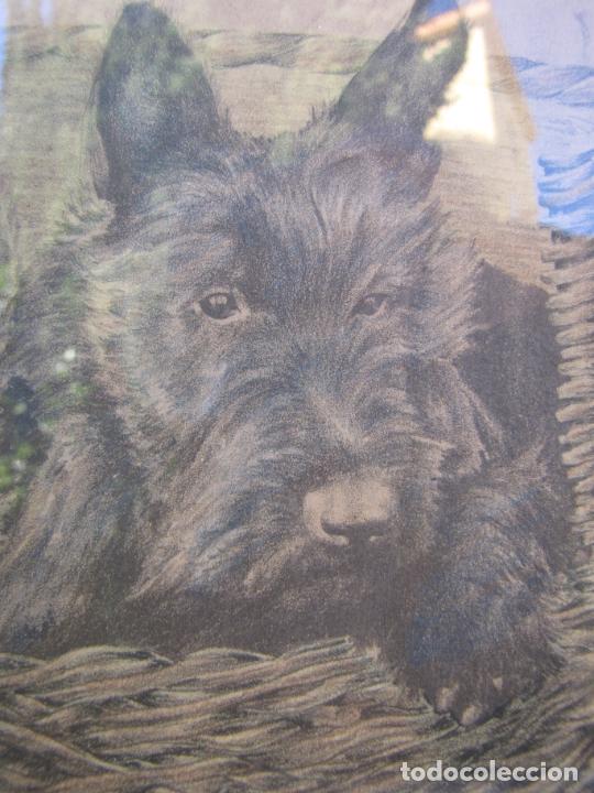 Arte: 4.- L&aacute;mina enmarcada Snauzer. Dedicatoria - Foto 3