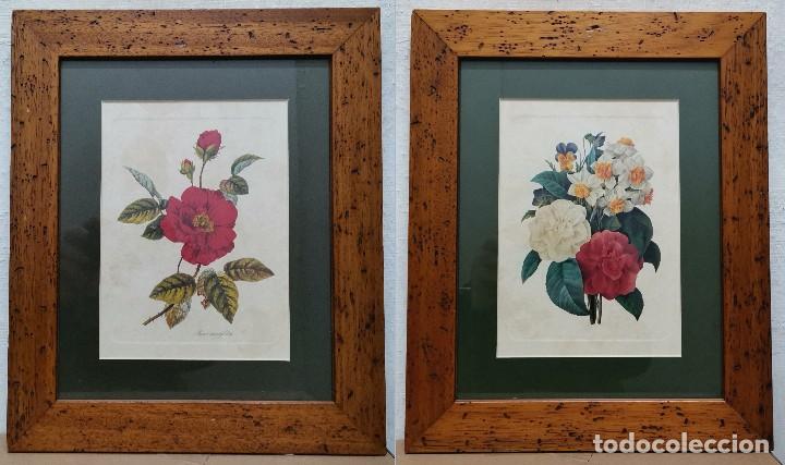 Kunst: 2 CUADROS ENMARCADOS CON CRISTAL LAMINAS MOTIVO FLORAL - CUADRO-235